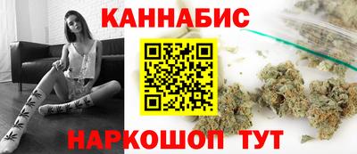 крисы Донской