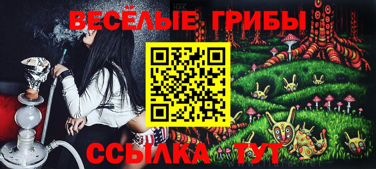 Одинцово  Псилоцибиновые грибы мицелий  Вход с VPN 